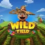 Rg Wild Yield на казино вегас юа